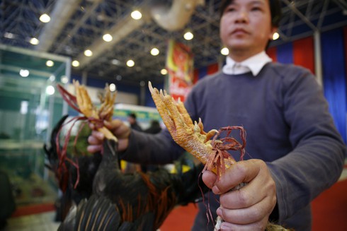 Người Hà Nội mê sản vật tiến vua - ảnh 12