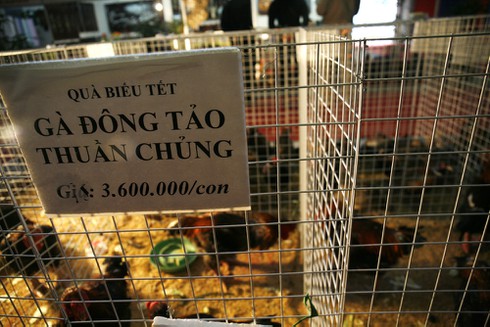 Người Hà Nội mê sản vật tiến vua - ảnh 7