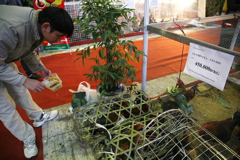 Người Hà Nội mê sản vật tiến vua - ảnh 8