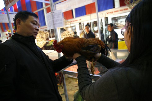 Người Hà Nội mê sản vật tiến vua - ảnh 9