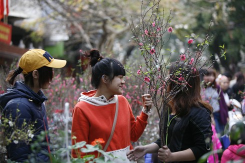 Hoa đào rực rỡ đón xuân về - ảnh 11