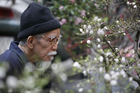 Hoa đào rực rỡ đón xuân về - ảnh 12