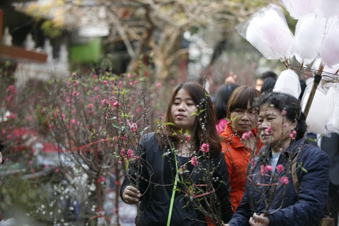 Hoa đào rực rỡ đón xuân về - ảnh 2