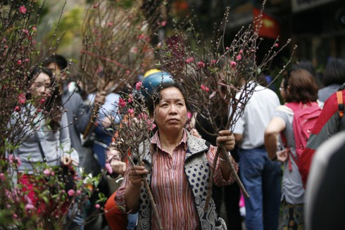 Hoa đào rực rỡ đón xuân về - ảnh 3