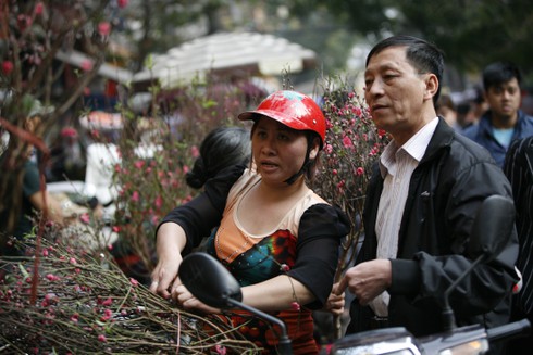 Hoa đào rực rỡ đón xuân về - ảnh 5