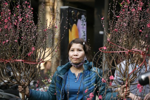 Hoa đào rực rỡ đón xuân về - ảnh 7