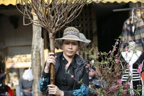 Hoa đào rực rỡ đón xuân về - ảnh 8