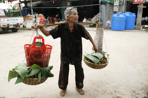 Ngủ 4 tiếng một ngày cho mùa long nhãn ngọt ngào - ảnh 2