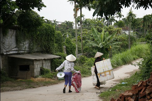 Ngủ 4 tiếng một ngày cho mùa long nhãn ngọt ngào - ảnh 6