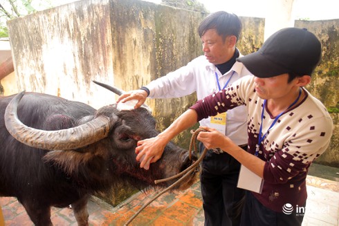 100 triệu đồng và ngôi vị