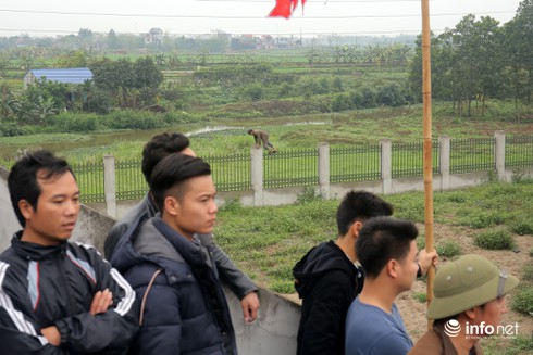 100 triệu đồng và ngôi vị