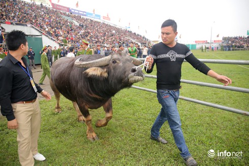 100 triệu đồng và ngôi vị