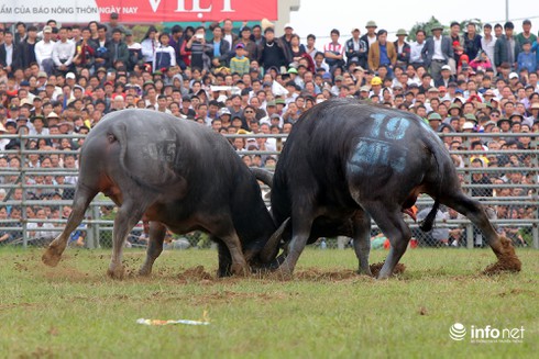 100 triệu đồng và ngôi vị