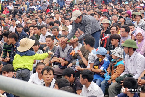 Những hình ảnh ấn tượng bên lề lễ hội chọi trâu 2015 - ảnh 10
