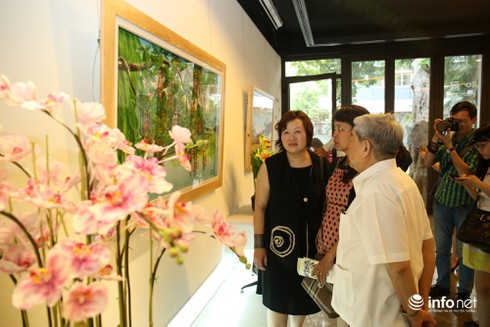 Bất ngờ với vẻ đẹp những bức tranh hoa đất - ảnh 7