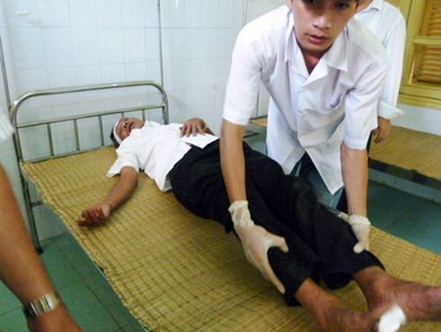 Ngàn người dẫm đạp nhau vì trâu thua cuộc ở Đồ Sơn