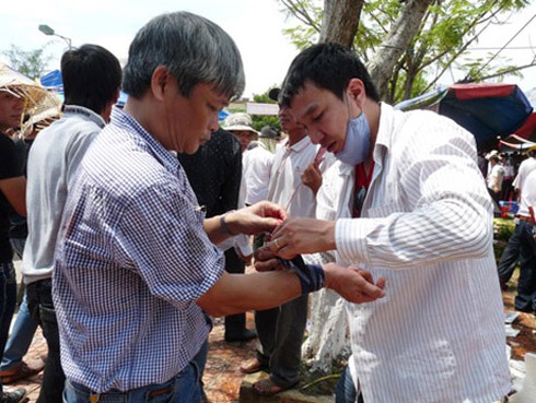 Ngàn người dẫm đạp nhau vì trâu thua cuộc ở Đồ Sơn