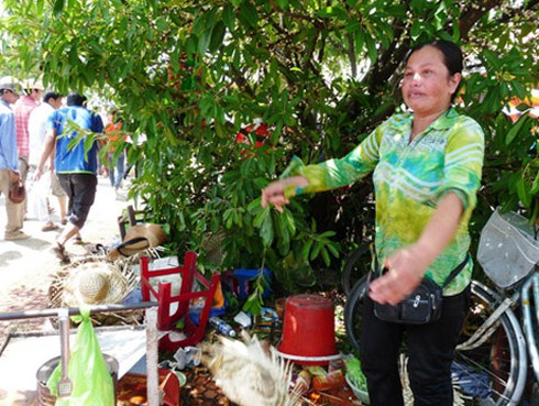 Ngàn người dẫm đạp nhau vì trâu thua cuộc ở Đồ Sơn