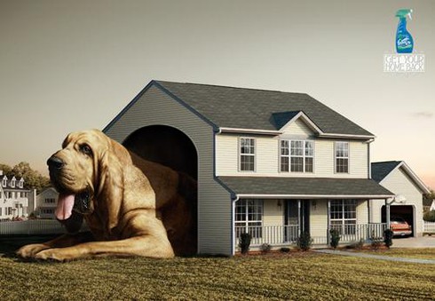 Những quảng cáo hài hước nhất với động vật - ảnh 4