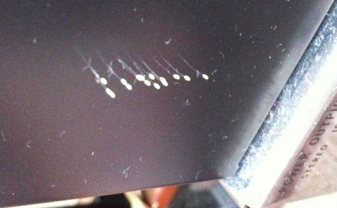 2 lần liên tiếp phát hiện