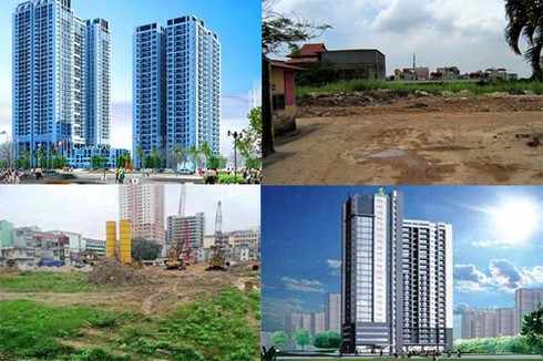 Công ty cổ phần xây dựng và phát triển chăn nuôi, công ty 135, bùi văn phú