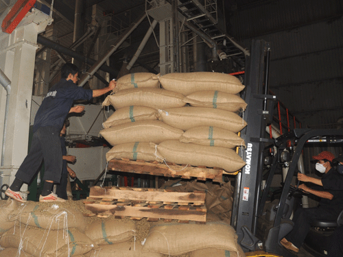 Bắt TGĐ chiếm đoạt hơn 4.000 tấn cà phê - ảnh 1