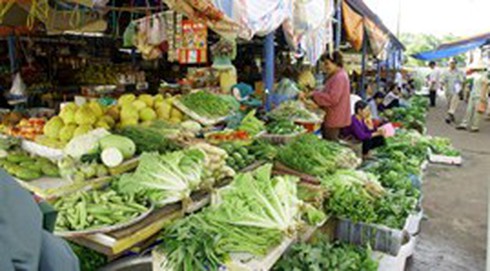 Giá rau xanh tăng vọt sau đợt mưa dài ngày - ảnh 1