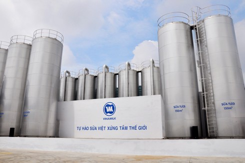 Nâng cao vị thế ngành công nghiệp sữa Việt Nam - ảnh 3