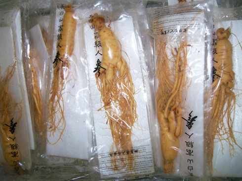 Khai nhập vải Hàn Quốc, giấu kỹ 165 thùng sâm lậu - ảnh 1