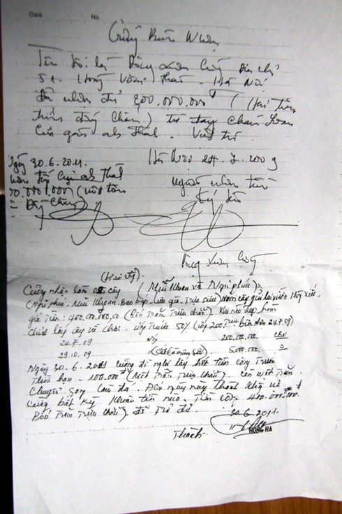 cây cảnh, mâm xôi con gà, cây ảo, họa sĩ