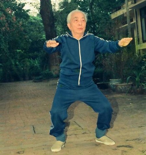 Đại tướng Võ Nguyên Giáp: Những hình ảnh xúc động về Đại tướng của nhân dân - ảnh 7