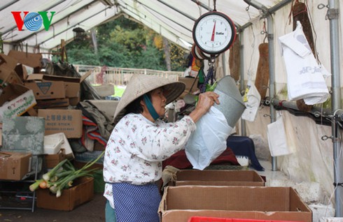 Chợ vườn và ông Tây bán rau muống ở Mỹ - ảnh 10