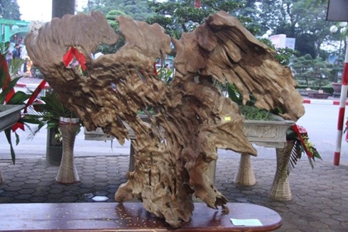 thú chơi, bảo vật, ngàn đô, Thái Nguyên, sản phẩm mỹ nghệ,