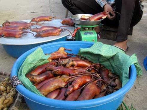 Thịt chuột, đặc sản, chuột, món ngon, thực đơn, cỗ cưới, sức khỏe, người tiêu dùng