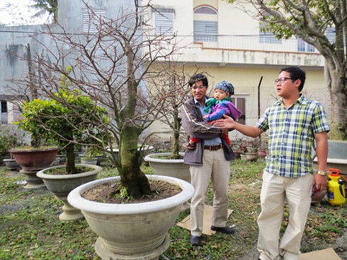 Trầm lặng mùa mai Tết - ảnh 3