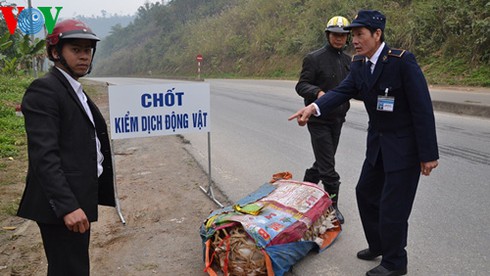Chở ngan gặp chốt kiểm tra, vứt của chạy lấy người - ảnh 1