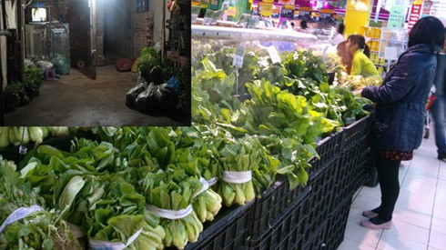 Hé lộ động trời về rau sạch trong siêu thị lớn - ảnh 1