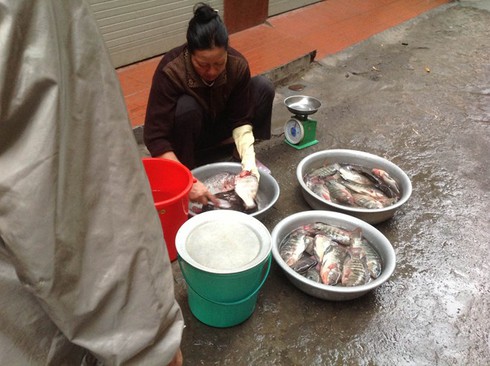 Chi nửa triệu mua cá trắm hồ Tây vì... sạch - ảnh 1