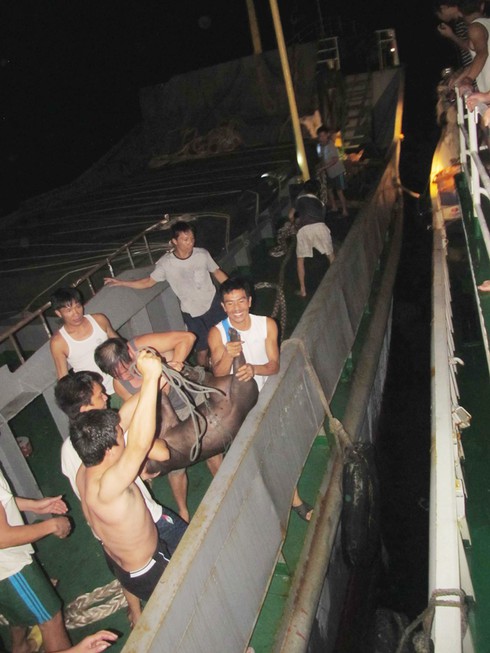 Cuộc tiếp tế trong đêm giữa Hoàng Sa - ảnh 1