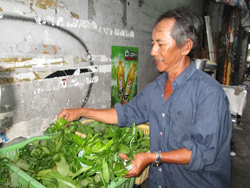 Rau rừng “tung hoành“ siêu thị, nhà hàng - ảnh 2