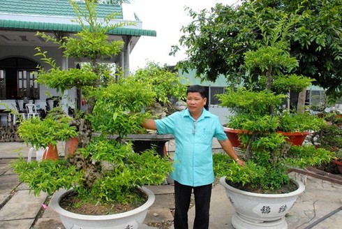 Chiêm ngưỡng 2 cây me khủng trăm tuổi giá hơn 4 tỷ đồng - ảnh 8