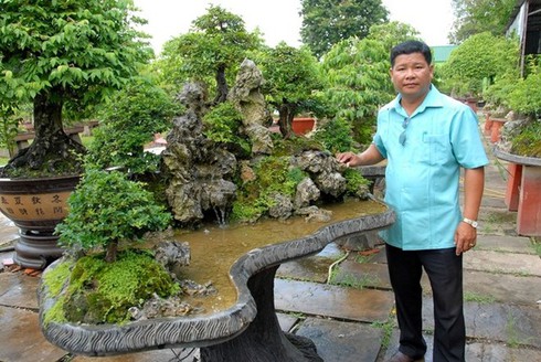 Chiêm ngưỡng 2 cây me khủng trăm tuổi giá hơn 4 tỷ đồng - ảnh 9