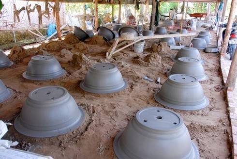 Chiêm ngưỡng 2 cây me khủng trăm tuổi giá hơn 4 tỷ đồng - ảnh 10