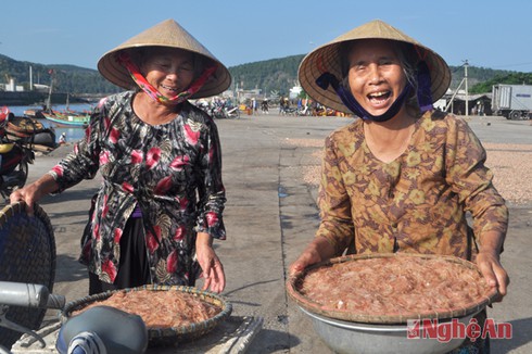 Mùa tép biển ngon nhất miền Trung - ảnh 2