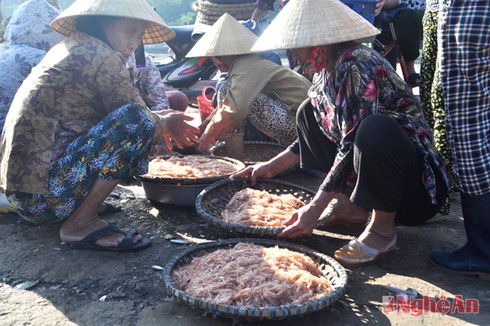 Mùa tép biển ngon nhất miền Trung - ảnh 3