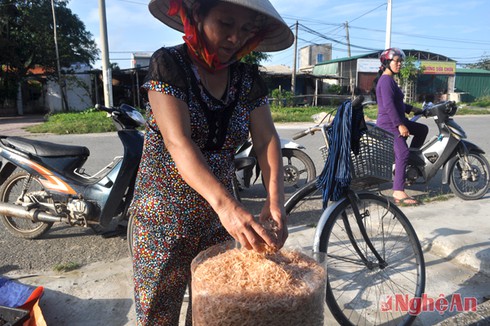 Mùa tép biển ngon nhất miền Trung - ảnh 4