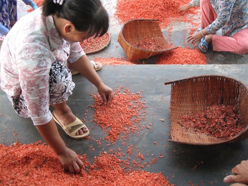 Ruốc biển bẩn nhuộm màu chui vào nhà máy mì tôm? - ảnh 1