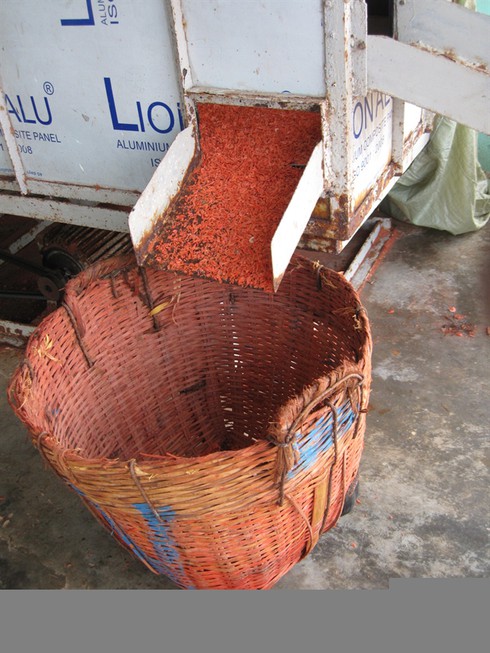 Ruốc biển bẩn nhuộm màu chui vào nhà máy mì tôm? - ảnh 3