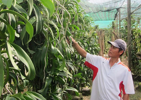 Ông chủ lan rừng bị chê... thần kinh kiếm bạc tỷ - ảnh 1