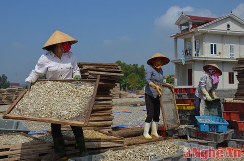 Ngút mắt
